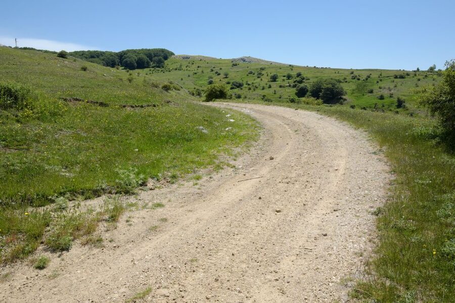 Cesarò: Full Day Tour of Nebrodi Park in a 4x4 - Riding Nebrodi forest roads toward Mount Soro