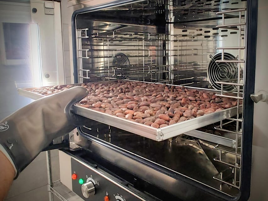Chocolatier for a day: raw bean to bar chocolate in Modica - Key highlights you will actually feel