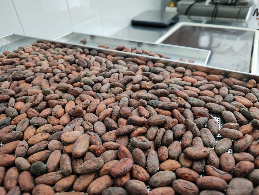 Chocolatier for a day: raw bean to bar chocolate in Modica - Bean selection and sensory tasting: learn faster with your nose