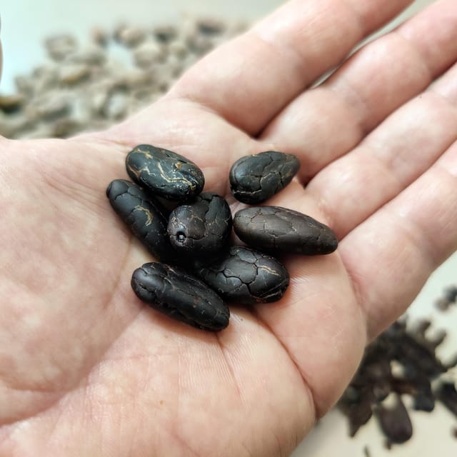 Chocolatier for a day: raw bean to bar chocolate in Modica - Roasting and stone grinding: the craft you can feel