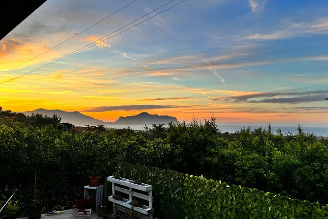 Cooking class in a villa with Palermo view - In the Kitchen With Carlo: How a 3-Hour Session Actually Feels