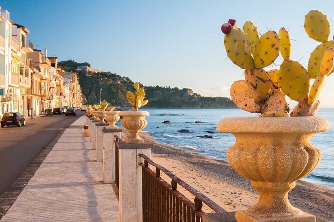 Cooking Class with Seaview with Chef Mimmo - Fish alla ghiotta and fish rolls alla Messinese: sauce you can taste for days