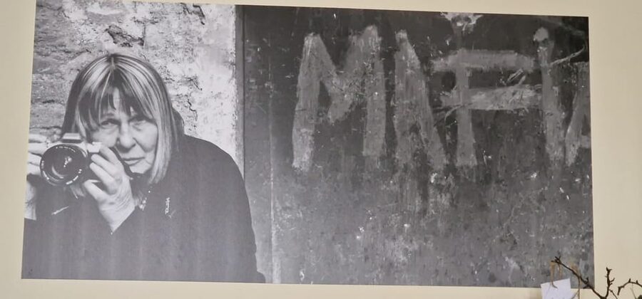 Corleone: Guided Tour of the C.I.D.M.A - Anti-Mafia Movement - CIDMA in Corleone: why this anti-mafia center feels different