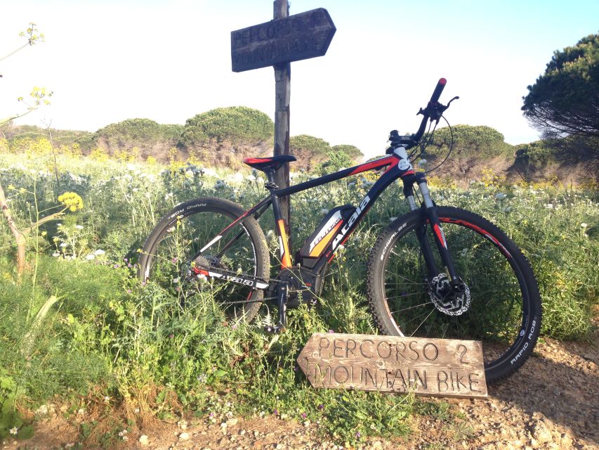 Discover MtPellegrino with a PRIVATE Guided Bike Tour - Santa Rosalia Sanctuary: the Holy Grotto and the Tanith connection