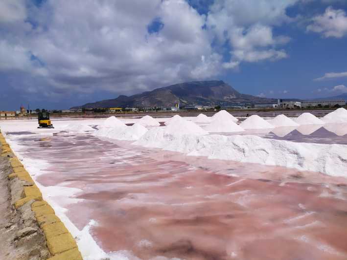 Discover Trapani's Saltpans with an E-Bike Tour - Natural Reserve of Saline: birds, windmills, and what to watch for
