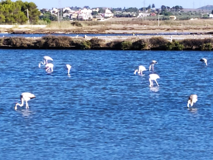 Discover Trapani's Saltpans with an E-Bike Tour - The route flow, from Via Osorio to the Saline reserve and back