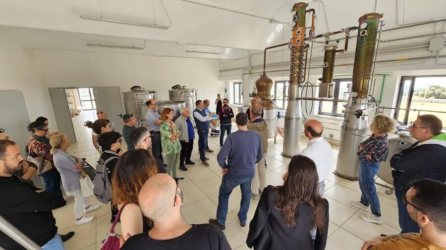 Distilleria Alma- Rum Distilery Guided Tour & Tasting - Inside the Distillery: Pressing, Fermentation, Distillation, Aging