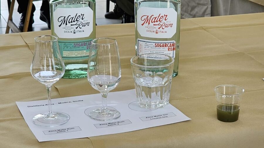 Distilleria Alma- Rum Distilery Guided Tour & Tasting - Timing, Comfort, and the Small Things That Matter