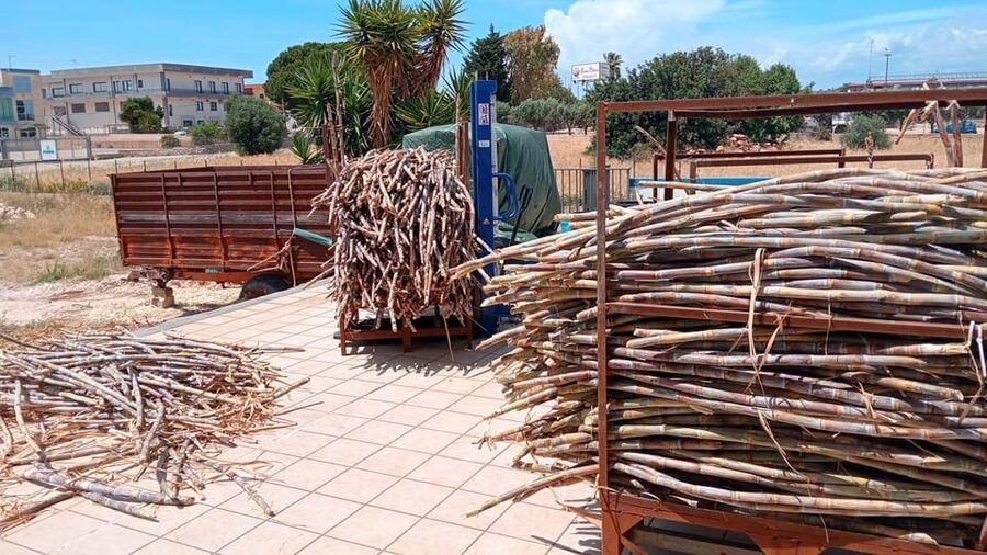 Distilleria Alma- Rum Distilery Guided Tour & Tasting - Should You Book Distilleria Alma Rum Distillery Tour and Tasting?