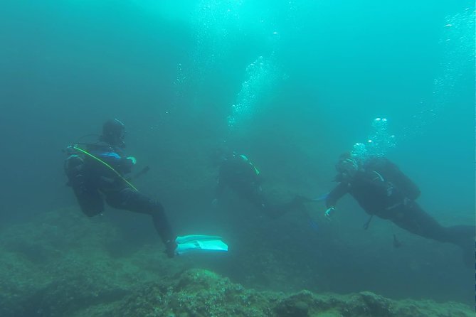 Diving for patented divers - First Underwater Session: Small Group Coaching and Calm Control