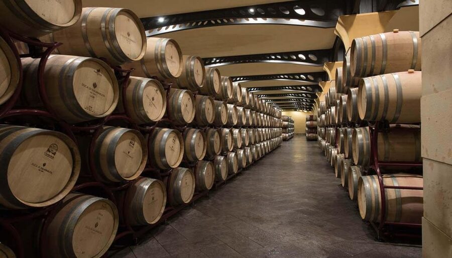 Duca di Salaparuta Winery : Tour Doc Sicily - The English-Guided Cellar Tour, and Why the Guide Matters