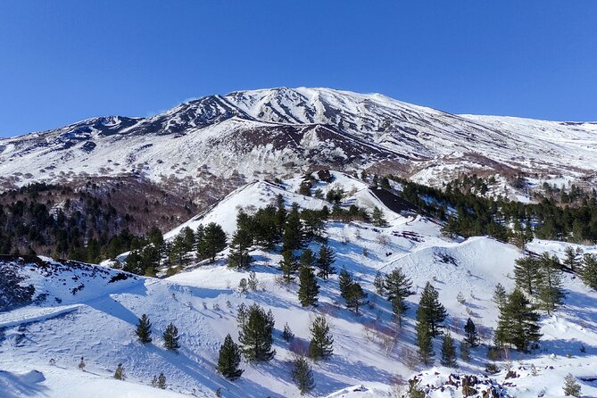 Etna and Alcantara Gorges Excursion - Guides and group rhythm: what you can expect from the day