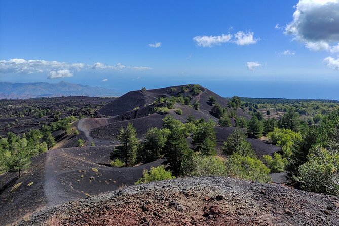 Etna and Alcantara Gorges Excursion - Price and value: what you actually get for about $107