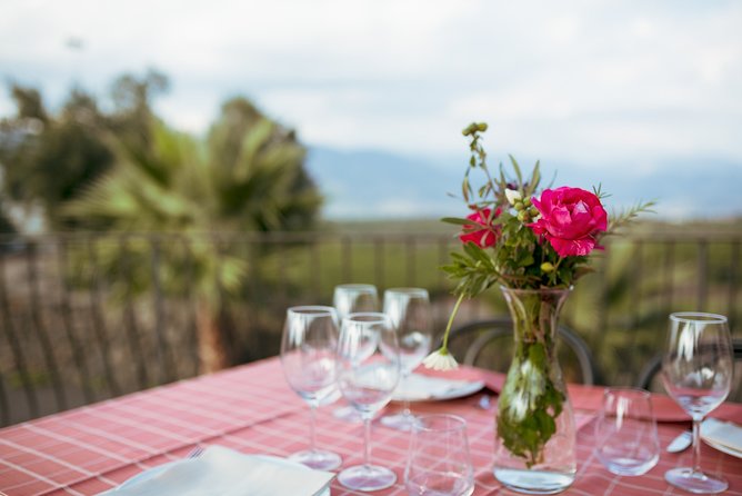 Etna Countryside Food & Wine Lovers Tour (Small Group or Private) - What you will eat and drink, and how to plan for it