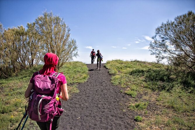 Etna Family Tour Excursion for families with children on Etna - Key highlights at a glance