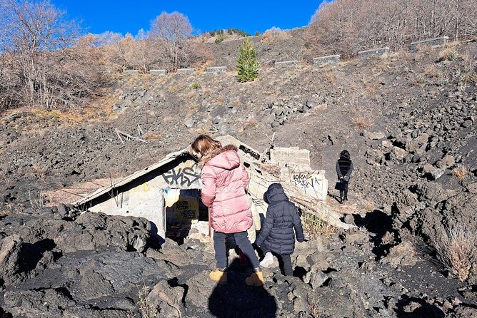 Etna Family Tour Excursion for families with children on Etna - Price and Value: Is $102.84 Worth It?