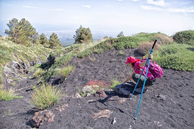 Etna Family Tour Excursion for families with children on Etna - Timing, Meeting Point, and Ending at Grotta della Neve