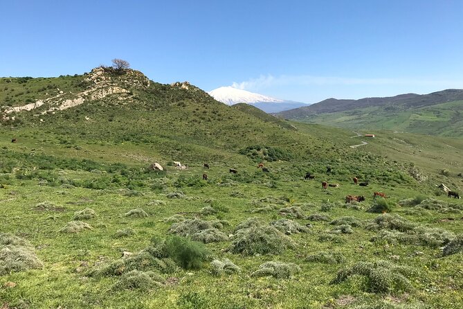 Etna Morning Jeep Tour - Tastings That Feel Tied to the Mountain, Not Just the Tour