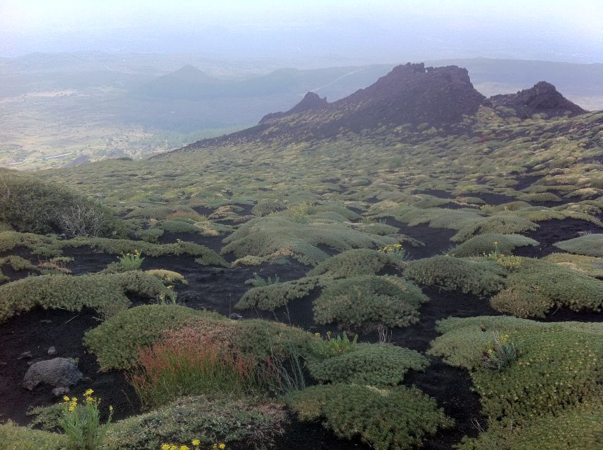 Etna: Sunset Tour on the Volcano - Getting to Etna from Catania: pickup timing and what to expect