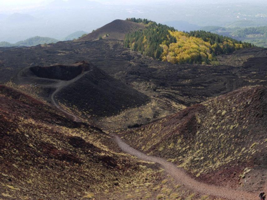 Etna Tour by Panoramic Bus - Driver and Human Touch: Why Alessandro’s Name Shows Up