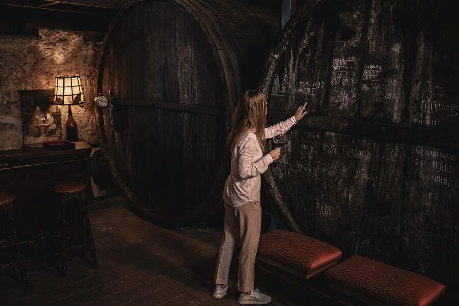 Etna: Urban Winery, Vineyards Walk & Wine Tasting at Sunset - The 1790 Palmento Visit: Chestnut Barrels, Stone Pressing, and Family Diaries