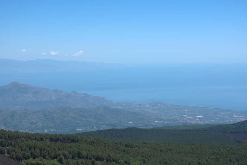ETNA VOLCANO: Excursion to the Craters of 2002 - The birch forest segment: why this part is worth slowing down for