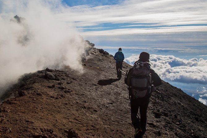Etna Volcano: South Side Guided Summit Hike - The 2,500 m cable car ride: fast altitude, quick payoff