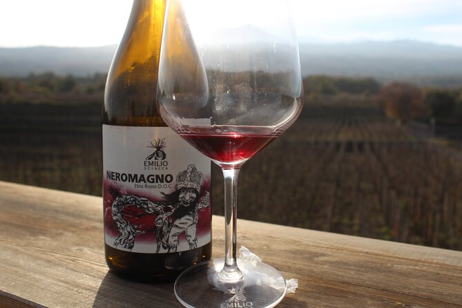 Etna Wine and Alcantara with lunch - Mount Etna trek from 2,000 meters, Crateri Sartorius to the cave