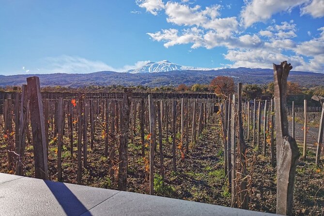 Etna Wine and Alcantara with lunch - Inside the lava cave, helmets and torches turn learning into action