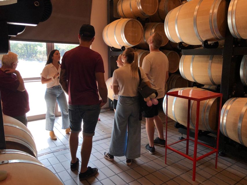 Etna & Wine Private Day Tour - Wine Tasting With Food: What Makes It Worth Your Time