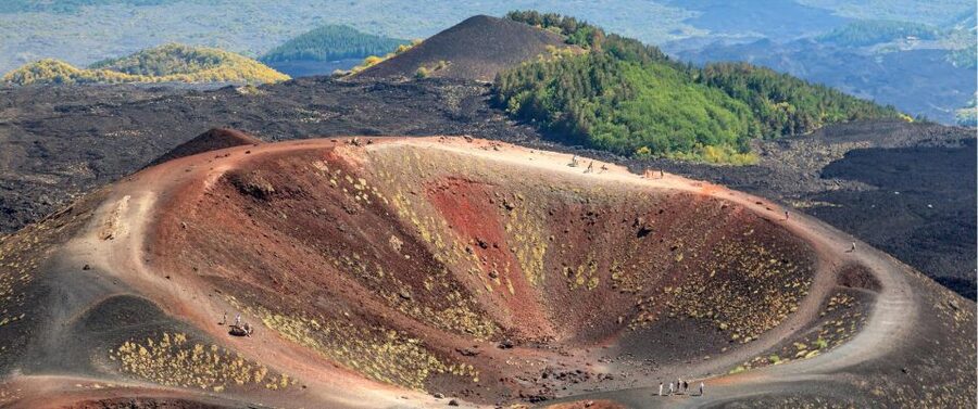 Etna & Wine Private Day Tour - Walking the Vineyards and Touring the Facilities