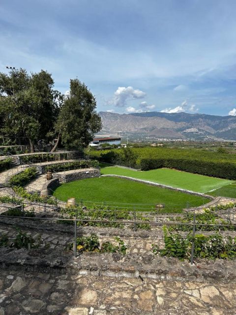 Etna: Wine Tasting and Food Tour - Price and Logistics: Does $129.14 Make Sense for What You Get?