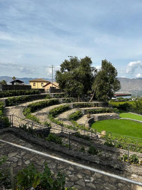 Etna: Wine Tasting and Food Tour - Guide Energy Matters: What Makes the Day Feel Smooth