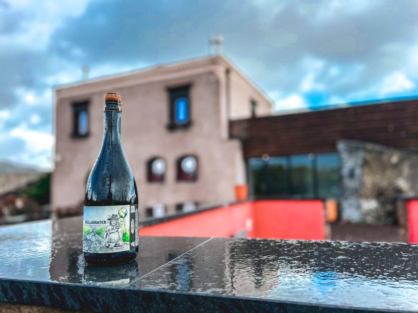 Etna: Wine Tasting and Food Tour - Should You Book This Etna Wine Tasting and Food Tour?