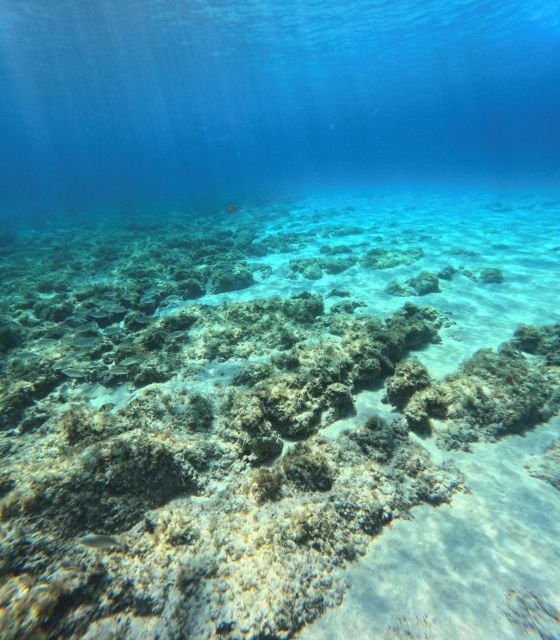 Favignana, Excursions by Dinghy from Marsala - Favignana port: the lunch and wine tasting break that actually counts