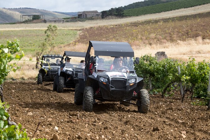 five sense outdoor experience - Meeting in Buseto Palizzolo, then heading straight to the countryside