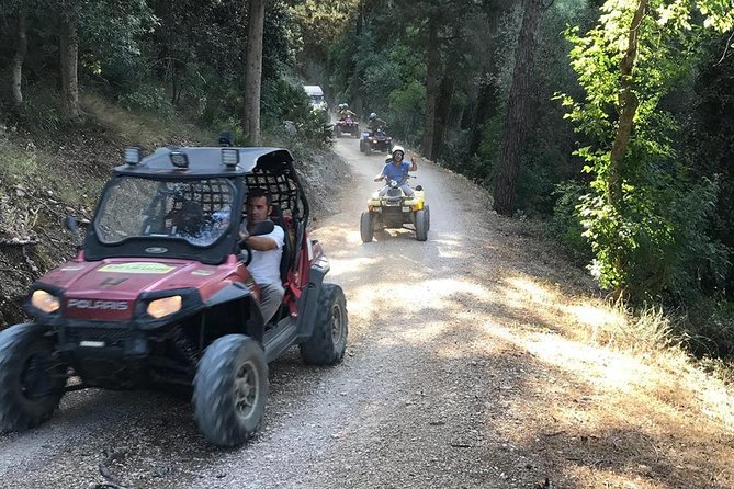 five sense outdoor experience - Castellammare del Golfo vineyards: a 1-hour safari with seasonal fruit