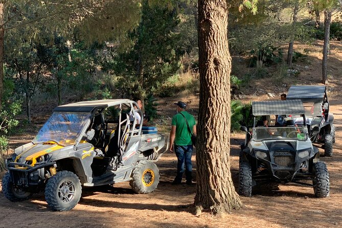 five sense outdoor experience - Monte Pispisa forest: dwarf palms, sea glimpses, and practical ancient tools