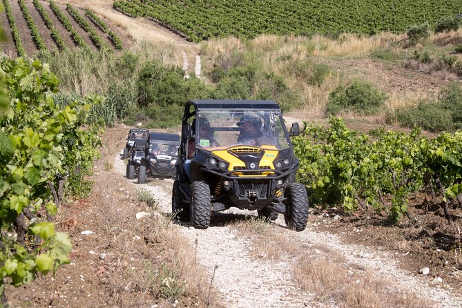 five sense outdoor experience - Tempio di Segesta: external viewpoints and the 300-meter river clue