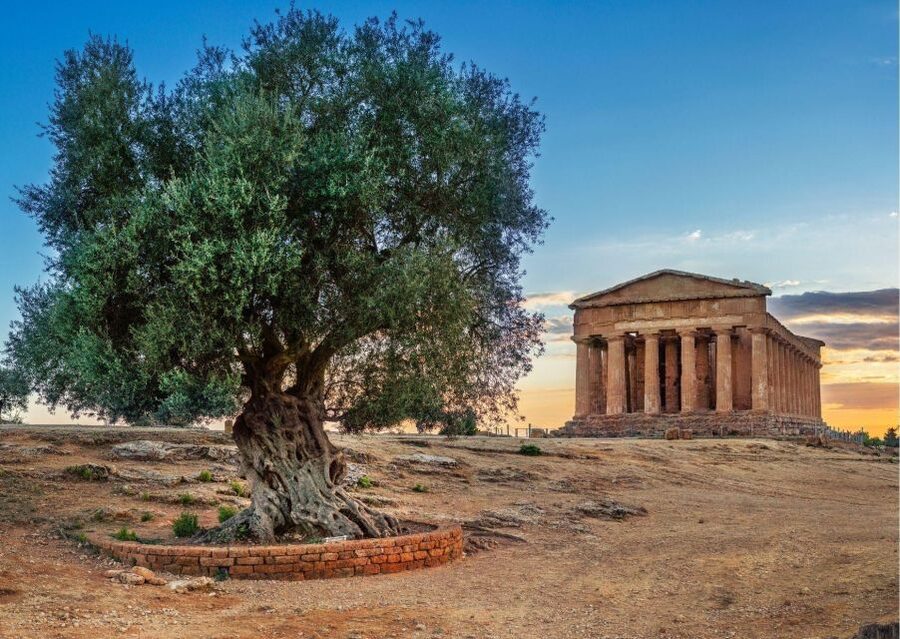 From Agrigento to Siracusa: Valley of Temples & Roman Villa - Meeting in Agrigento, then heading east to Siracusa