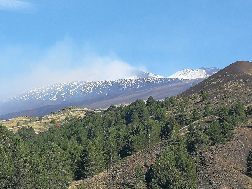 From Catania: Etna & Taormina Day Trip - Should you book this tour?