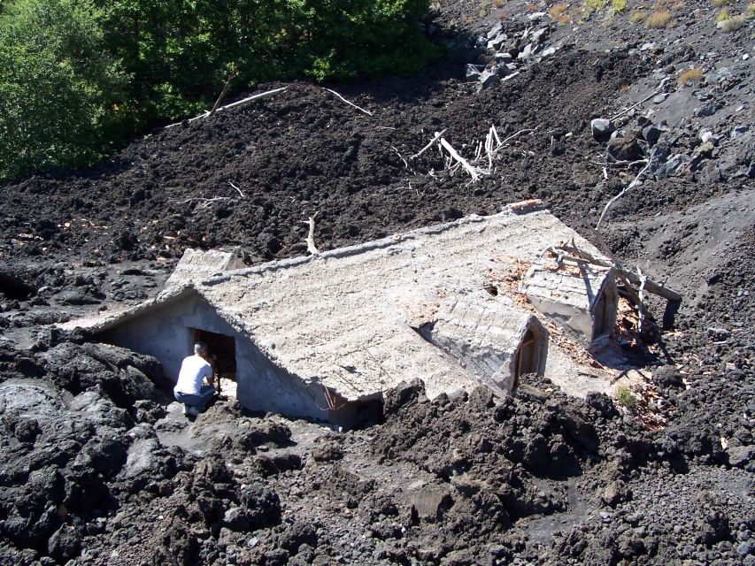 From Catania: Etna tour by Panoramic Bus - Walking Toward 2500m, Silvestri Craters, and Calcarazzi Views