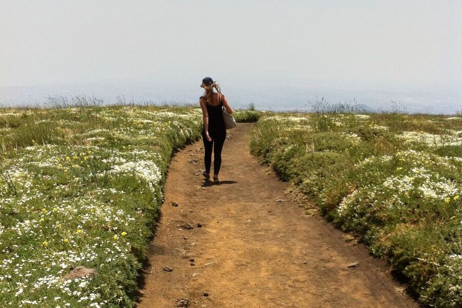 From Catania: Mount Etna Half-Day Tour and Wine Experience - Value on One Schedule: Why This Combo Works