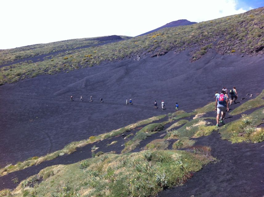 From Catania: Mount Etna Half-Day Tour and Wine Experience - Should You Book This Mount Etna and Wine Tour?