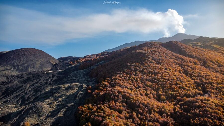 From Catania: Mt. Etna, Wine and Alcantara Tour - Walking the Volcanic Path on Etna: Craters, Old Lava, and a Maximum of 2,000 Meters