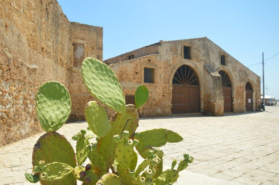 From Catania: Syracuse, Ortigia & Marzamemi Full-day Tour - Ortigia, Syracuse’s Old Core: Arethusa, Duomo Square, and Baroque Streets