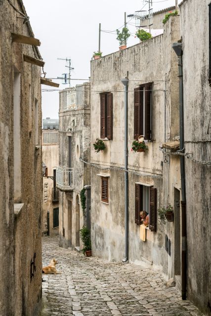 From Palermo: Day Trip to Erice, Segesta and Salt Pans - Practical tips to make the day feel smooth