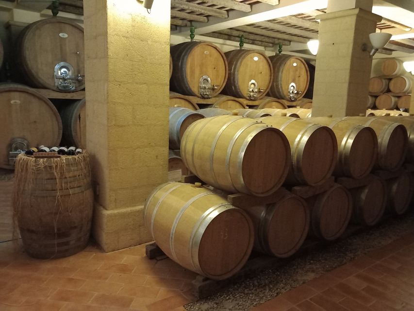 From Palermo: Erice and Marsala Day Trip with Lunch - Getting started in Palermo: your meeting point and first stop rhythm