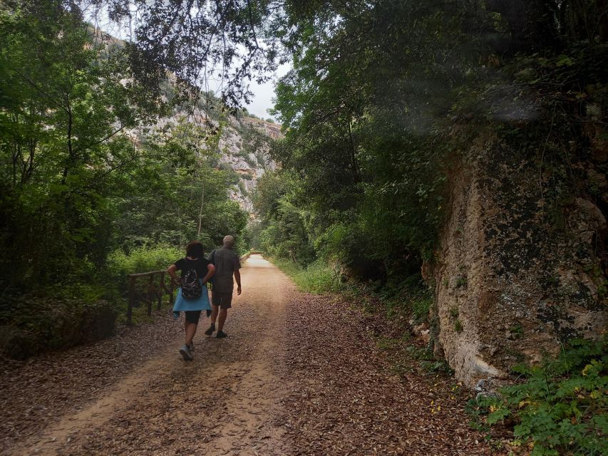 From Siracusa: Pantalica Nature Reserve Guided Hiking Tour - Price and value: why the van, the small group, and the 4-hour guide time matter
