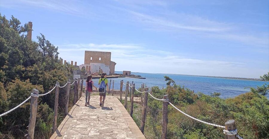 From Siracusa: Vendicari Nature Reserve Guided Tour - Why Vendicari Nature Reserve is a smart half-day in Sicily